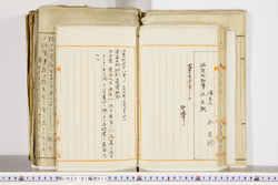 明い022010110004.jpg