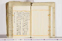 明い022010110005.jpg