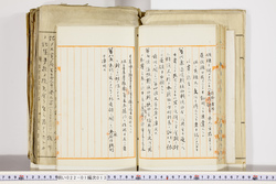 明い022010130004.jpg