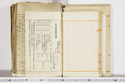 明い022010130005.jpg