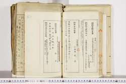 明い022010130006.jpg