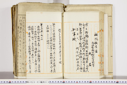 明い022010130010.jpg