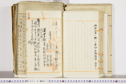 明い022010130011.jpg