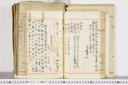 明い022010150002.jpg