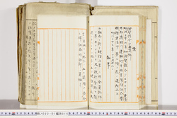 明い022010160002.jpg