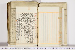 明い022010160003.jpg