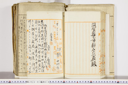 明い022010160004.jpg