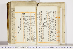 明い022010160005.jpg