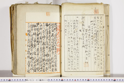 明い022010160007.jpg