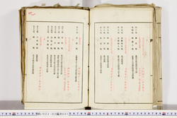 明い022020010004.jpg