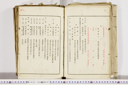 明い022020010008.jpg