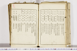 明い022020010011.jpg