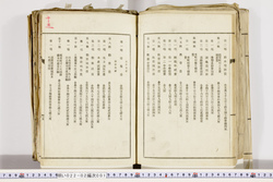明い022020010013.jpg