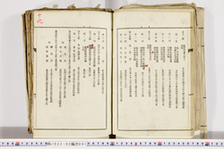 明い022020010014.jpg