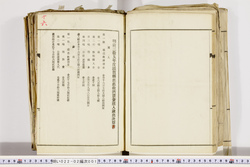 明い022020010016.jpg
