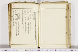 明い022020010018.jpg