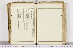 明い022020010019.jpg