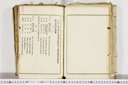 明い022020010020.jpg