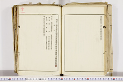 明い022020010021.jpg