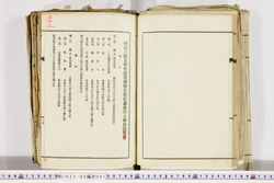 明い022020010022.jpg