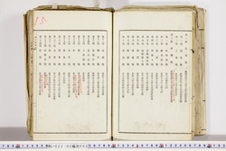 明い022020030003.jpg