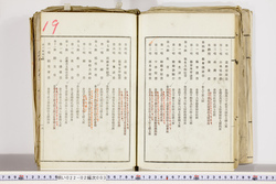 明い022020030007.jpg
