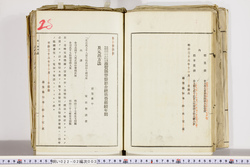 明い022020030011.jpg