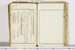 明い022020030012.jpg