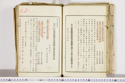 明い022020030013.jpg