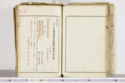 明い022020030014.jpg