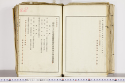 明い022020030016.jpg
