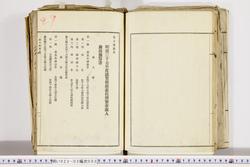 明い022020030017.jpg