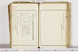 明い022020030018.jpg