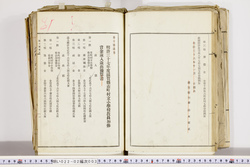 明い022020030019.jpg