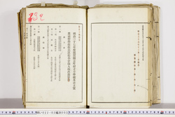 明い022020030020.jpg