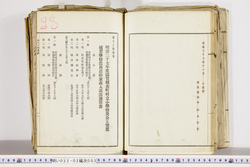 明い022020030021.jpg