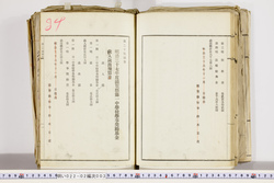 明い022020030022.jpg