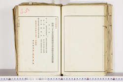 明い022020030023.jpg
