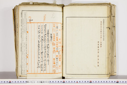 明い022020030025.jpg