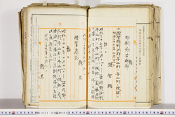 明い022020050002.jpg