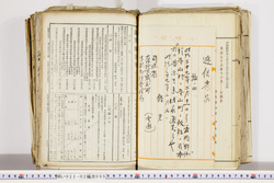 明い022020050003.jpg