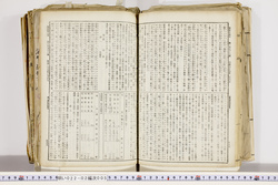 明い022020050004.jpg