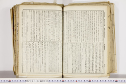 明い022020050005.jpg