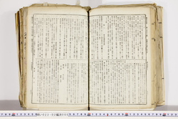 明い022020050006.jpg