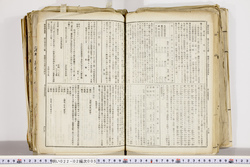 明い022020050007.jpg