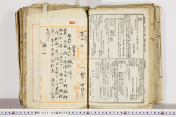 明い022020050008.jpg