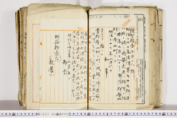 明い022020050009.jpg