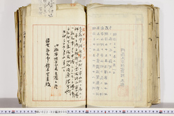 明い022020050012.jpg