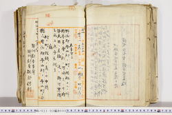 明い022020050013.jpg