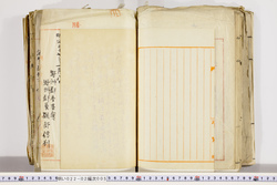 明い022020050016.jpg